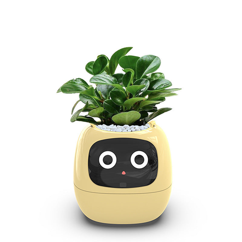 Smart Plant Pot, AI Smart Flower Pots, Smart Planter 7 Smart Sensors, AI Chip LCD Display, APP Control Garden Planter Home Expression